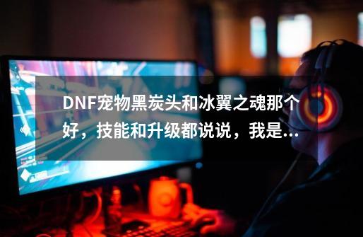 DNF宠物黑炭头和冰翼之魂那个好，技能和升级都说说，我是元素爆破。-第1张-游戏信息-龙启网