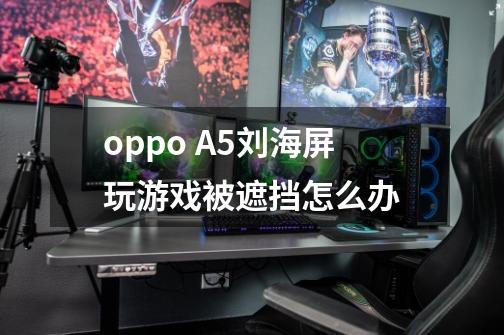 oppo A5刘海屏玩游戏被遮挡怎么办-第1张-游戏信息-龙启网