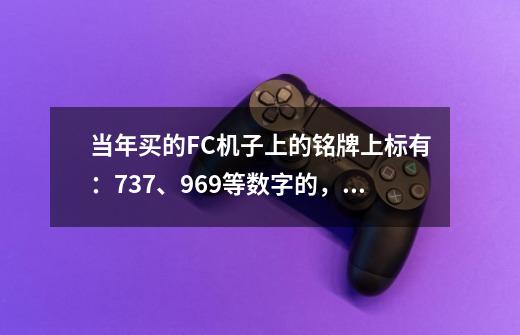 当年买的FC机子上的铭牌上标有：737、969等数字的，是什么牌子的FC-第1张-游戏信息-龙启网