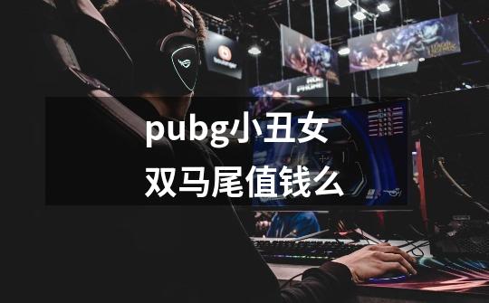 pubg小丑女双马尾值钱么-第1张-游戏信息-龙启网