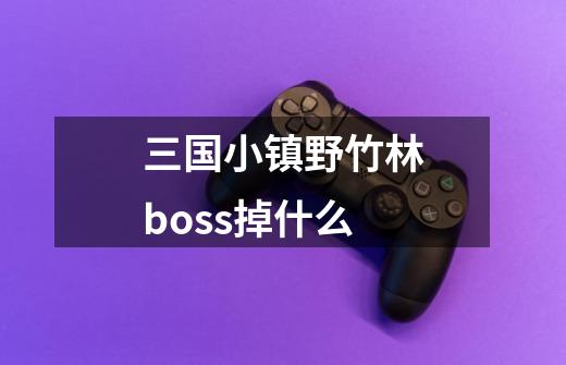 三国小镇野竹林boss掉什么-第1张-游戏信息-龙启网