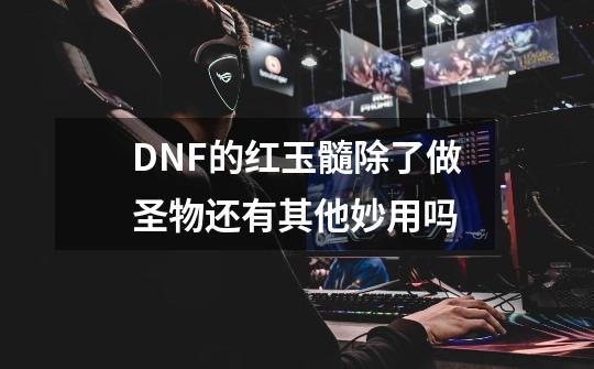 DNF的红玉髓除了做圣物还有其他妙用吗-第1张-游戏信息-龙启网