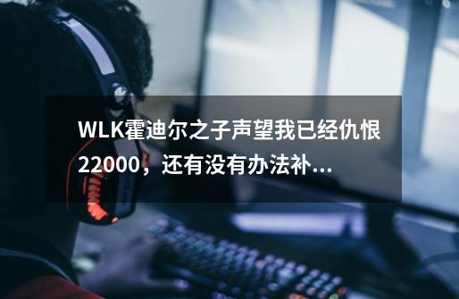 WLK霍迪尔之子声望我已经仇恨22000，还有没有办法补救-第1张-游戏信息-龙启网