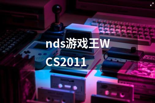 nds游戏王WCS2011-第1张-游戏信息-龙启网