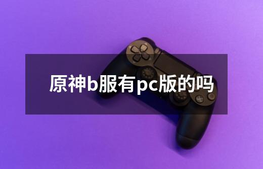 原神b服有pc版的吗-第1张-游戏信息-龙启网