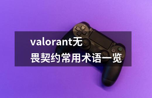 valorant无畏契约常用术语一览-第1张-游戏信息-龙启网