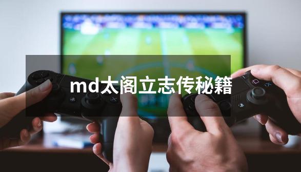 md太阁立志传秘籍-第1张-游戏信息-龙启网