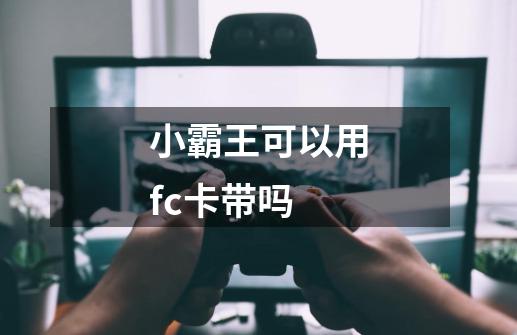 小霸王可以用fc卡带吗-第1张-游戏信息-龙启网