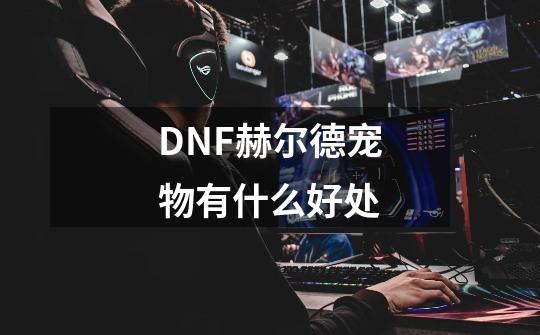 DNF赫尔德宠物有什么好处-第1张-游戏信息-龙启网