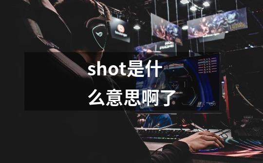 shot是什么意思啊了-第1张-游戏信息-龙启网