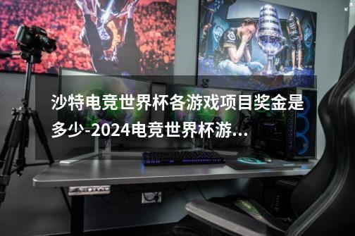 沙特电竞世界杯各游戏项目奖金是多少-2024电竞世界杯游戏项目奖金详解-第1张-游戏信息-龙启网