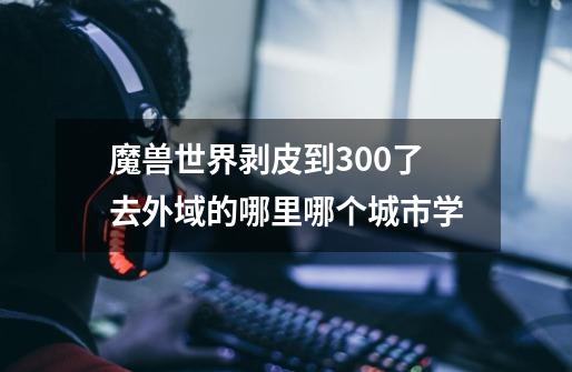 魔兽世界剥皮到300了去外域的哪里哪个城市学-第1张-游戏信息-龙启网