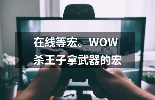 在线等宏。WOW杀王子拿武器的宏-第1张-游戏信息-龙启网