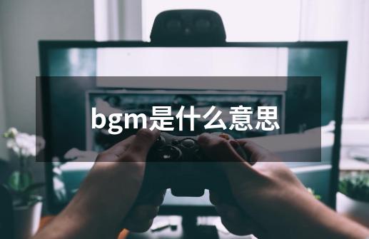 bgm是什么意思-第1张-游戏信息-龙启网