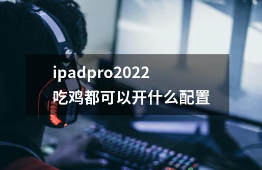 ipadpro2022吃鸡都可以开什么配置-第1张-游戏信息-龙启网