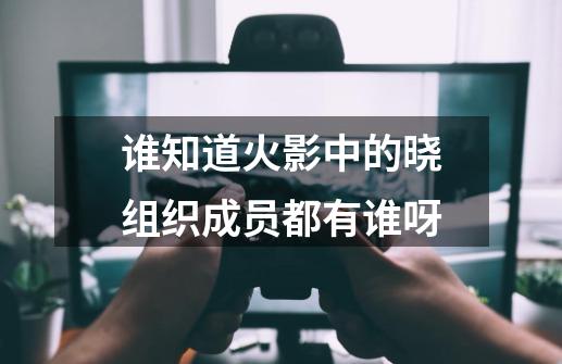 谁知道火影中的晓组织成员都有谁呀-第1张-游戏信息-龙启网