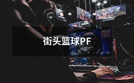 街头篮球PF-第1张-游戏信息-龙启网