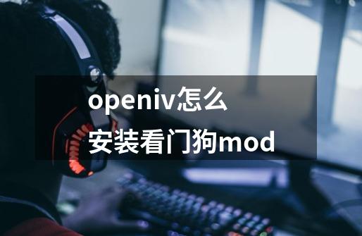 openiv怎么安装看门狗mod-第1张-游戏信息-龙启网