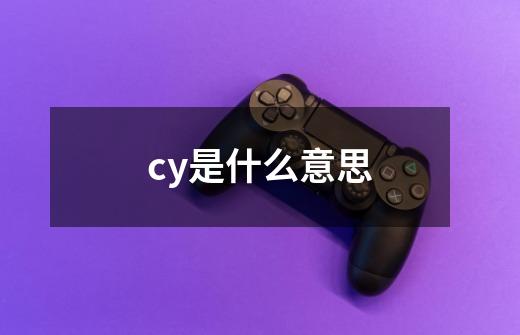 cy是什么意思-第1张-游戏信息-龙启网