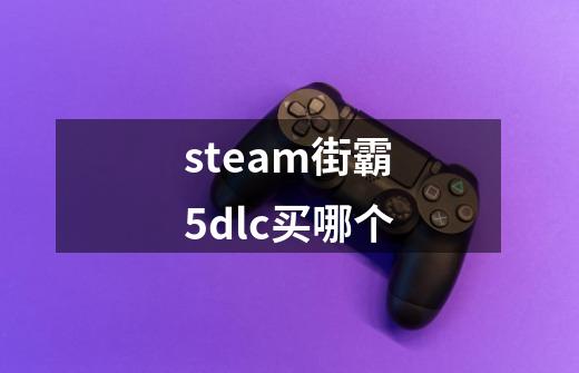 steam街霸5dlc买哪个-第1张-游戏信息-龙启网