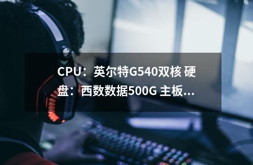 CPU：英尔特G540双核 硬盘：西数数据500G 主板：华硕p8h61-M 内存：4G 1333MNz内存条 这样的配置好不好-第1张-游戏信息-龙启网