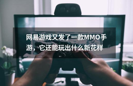 网易游戏又发了一款MMO手游，它还能玩出什么新花样-第1张-游戏信息-龙启网