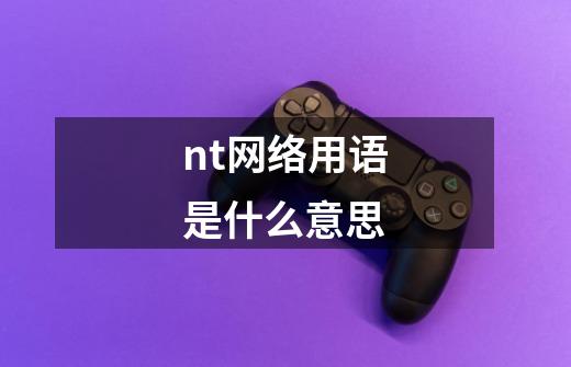 nt网络用语是什么意思-第1张-游戏信息-龙启网