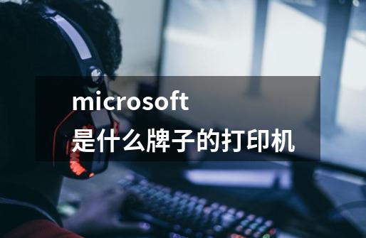 microsoft是什么牌子的打印机-第1张-游戏信息-龙启网