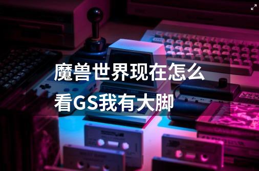 魔兽世界现在怎么看GS我有大脚-第1张-游戏信息-龙启网