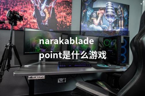 narakabladepoint是什么游戏-第1张-游戏信息-龙启网