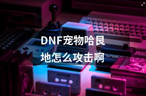 DNF宠物哈艮地怎么攻击啊-第1张-游戏信息-龙启网