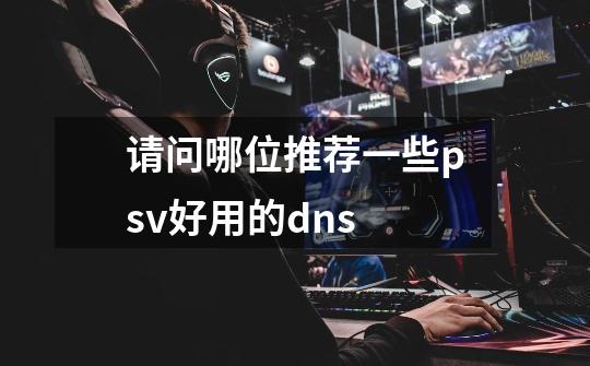 请问哪位推荐一些psv好用的dns-第1张-游戏信息-龙启网