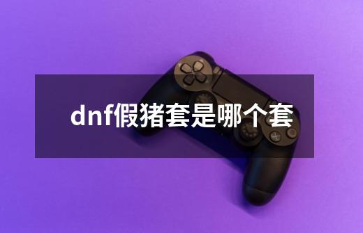 dnf假猪套是哪个套-第1张-游戏信息-龙启网