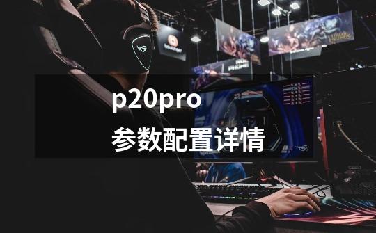 p20pro参数配置详情-第1张-游戏信息-龙启网